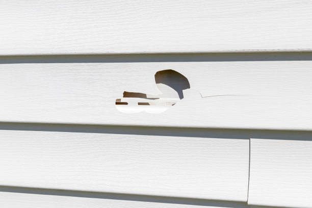 Best Furniture Removal  in Shrub Oak, NY