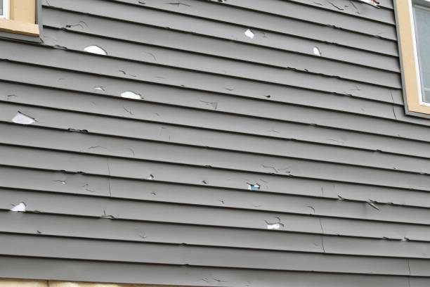Best Dumpster Rental Services  in Shrub Oak, NY